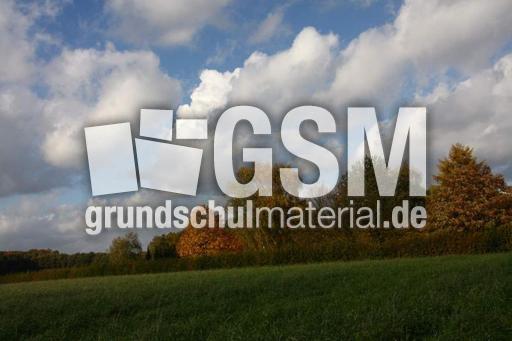 Herbststimmung-25-10-09 002.jpg